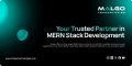 MERN Stack Development Company | Malgo