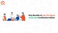 Why Benefits of Lean Six Sigma Green Belt Certification Matter