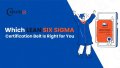 Best Lean Six Sigma Certification Online | Belt Levels Guide