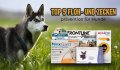 Floh & Zeckenschutz für Hunde: Top 5 Produkte im Vergleich